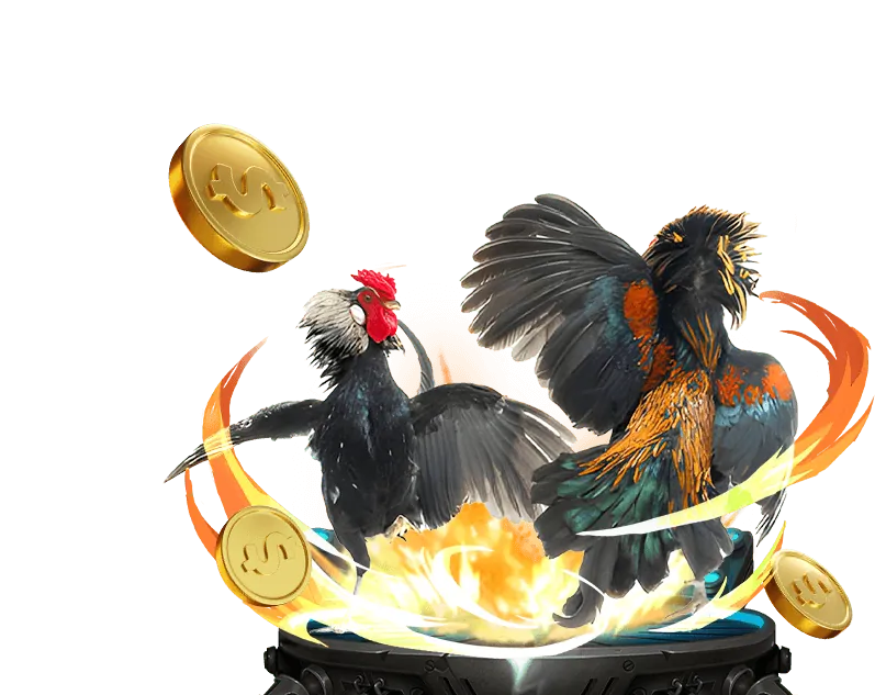 Hình ảnh máy tạo số ngẫu nhiên